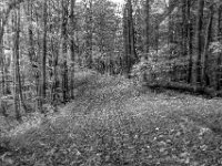 Beskid Niski